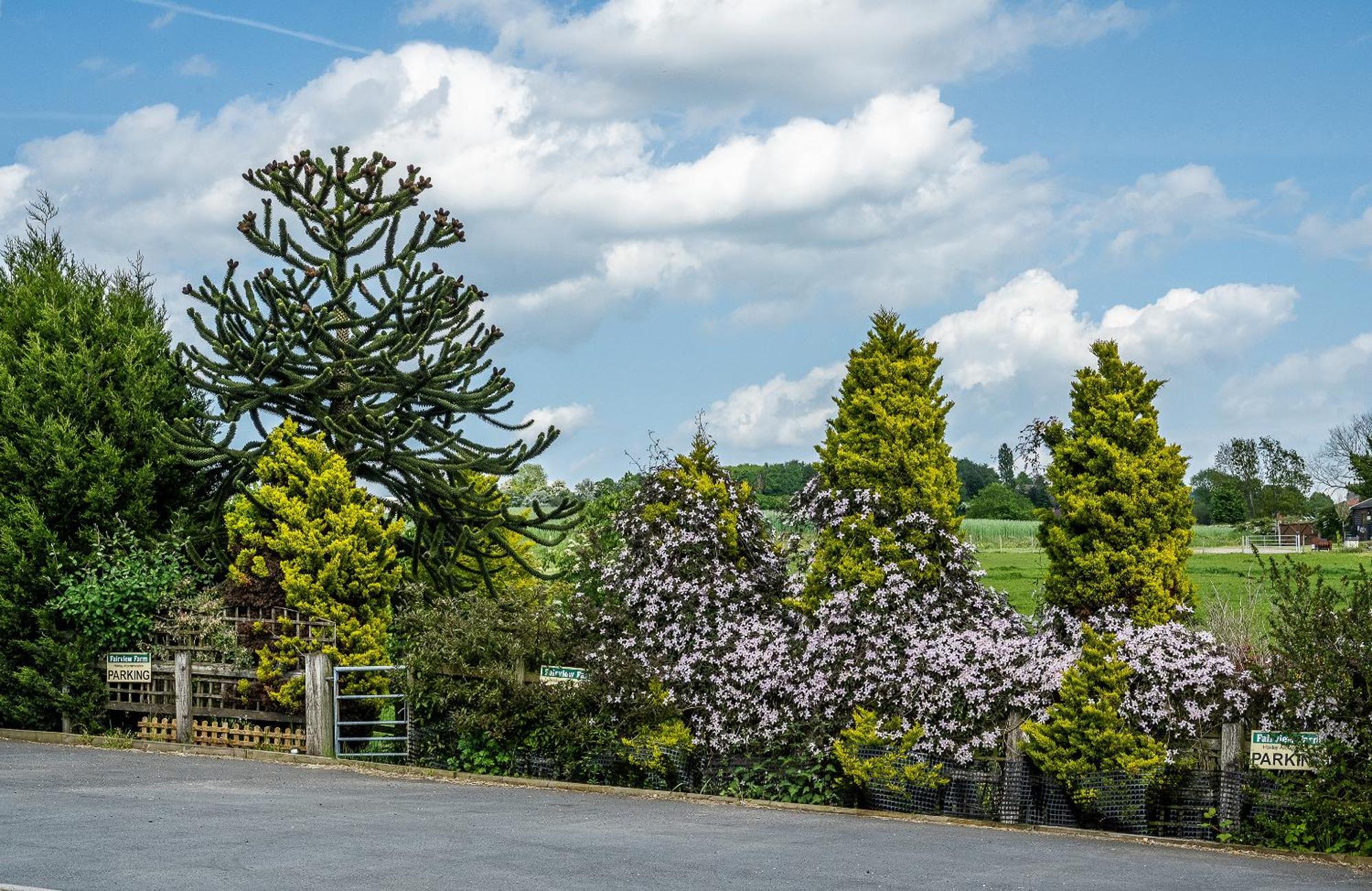 Upside Down House - Sleeps Up To 6 Guests - Great For Family And Friends Gatherings,Corporate Events ,Near Sherwood Forest At Fairview Farm In Nottingham Set In 88 Acres Exterior foto